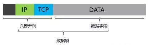 千兆/百兆/核心/PoE/光纖成人深夜网站選型指南