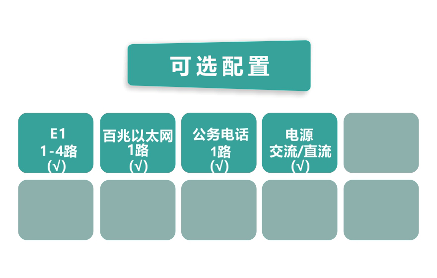 深夜成人视频科技-4E1+1FE  PDH深夜视频网站(19英寸1U)